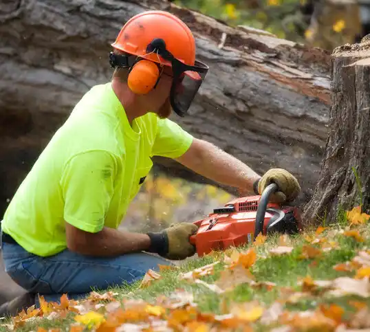 tree services Kahoka